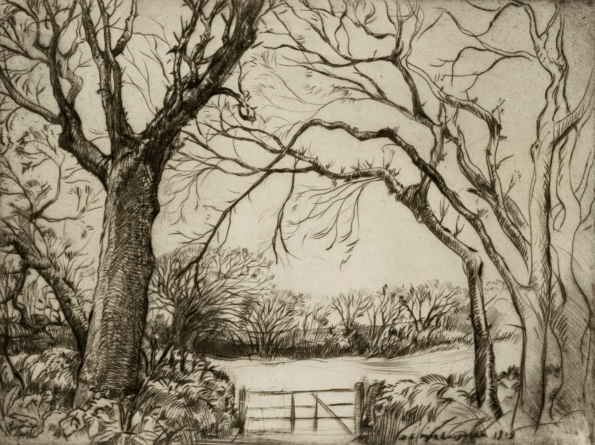 Tragenna Wood