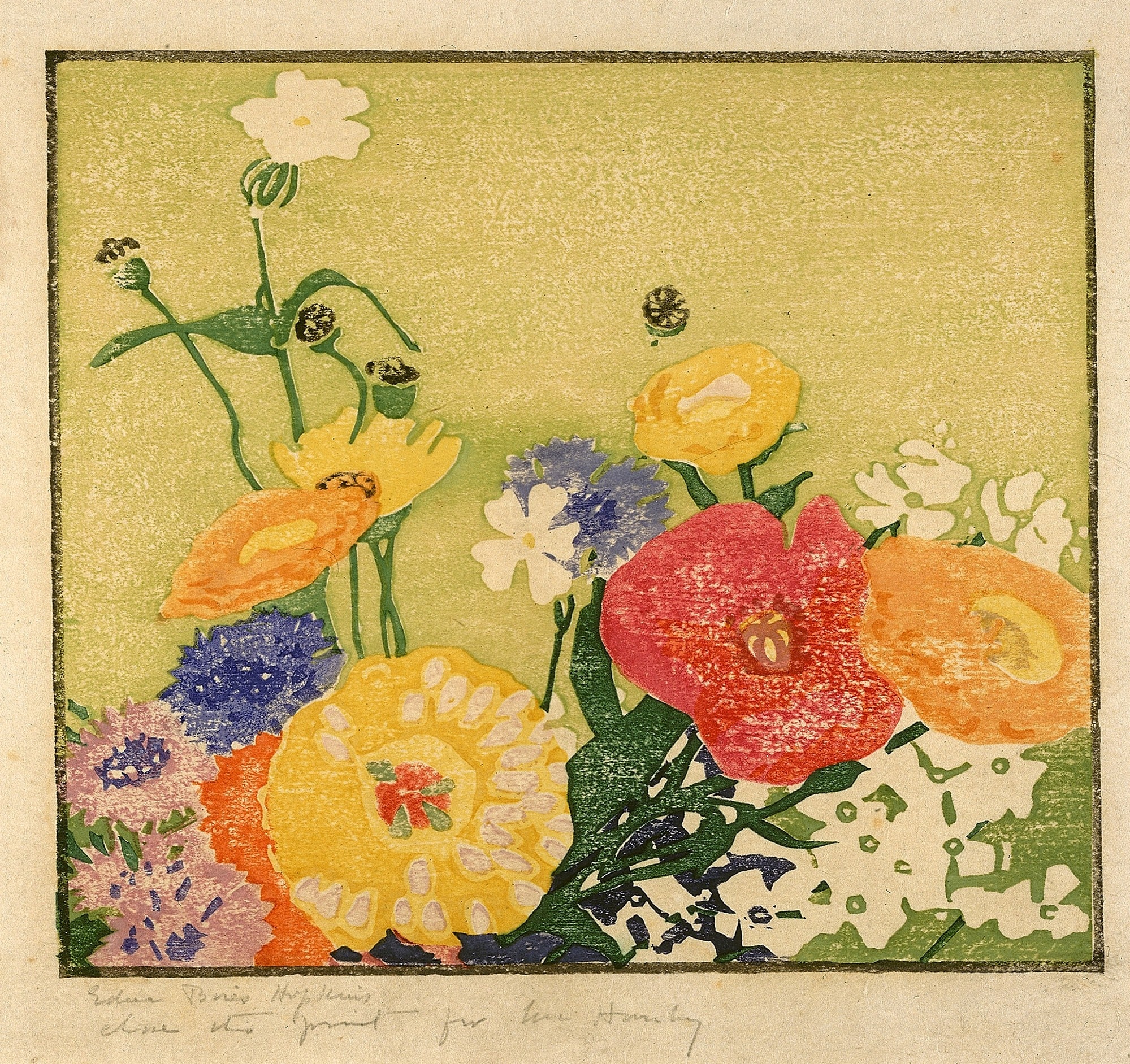 Garden Flowers