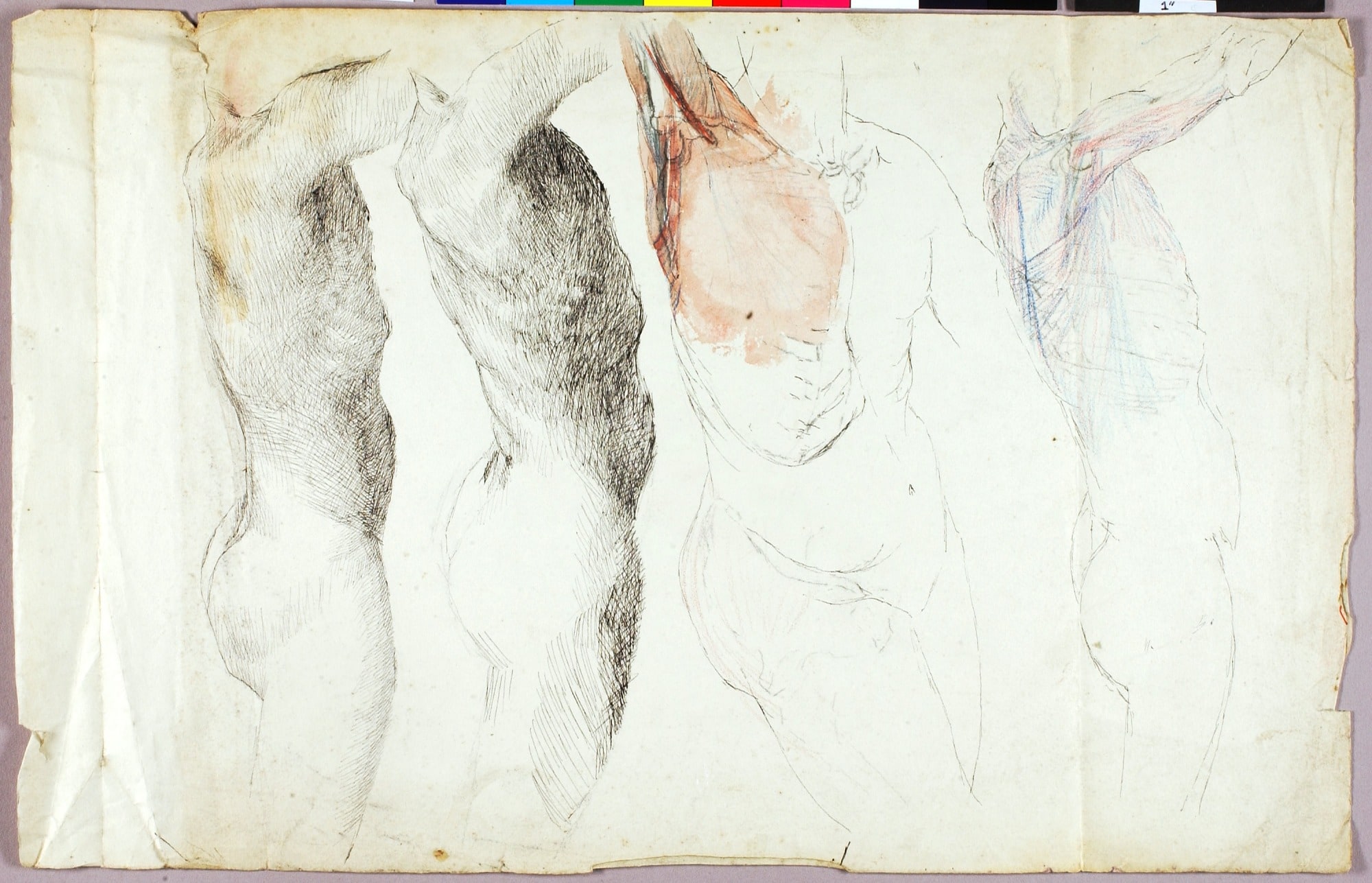 Nude Studies
