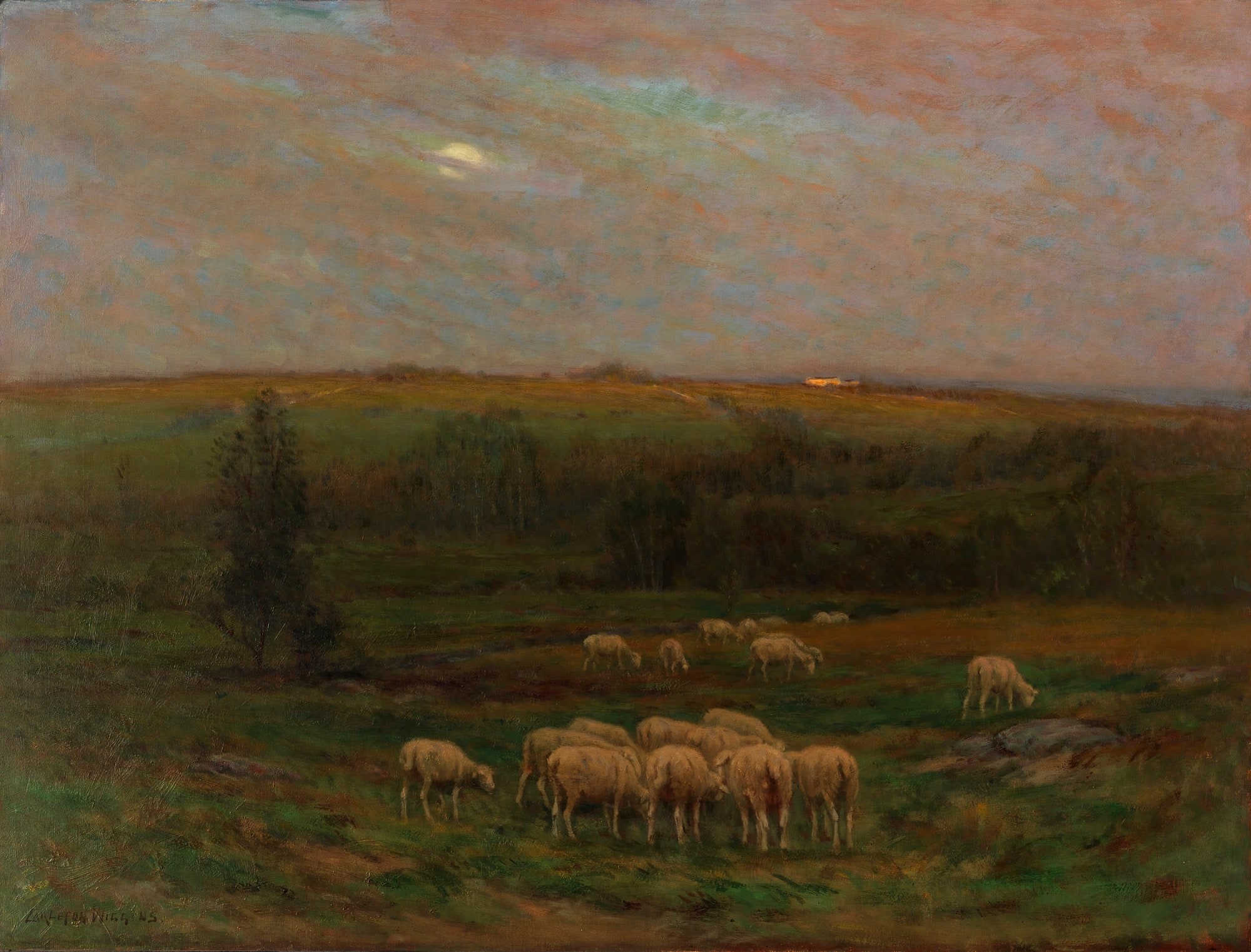 Evening after a Shower