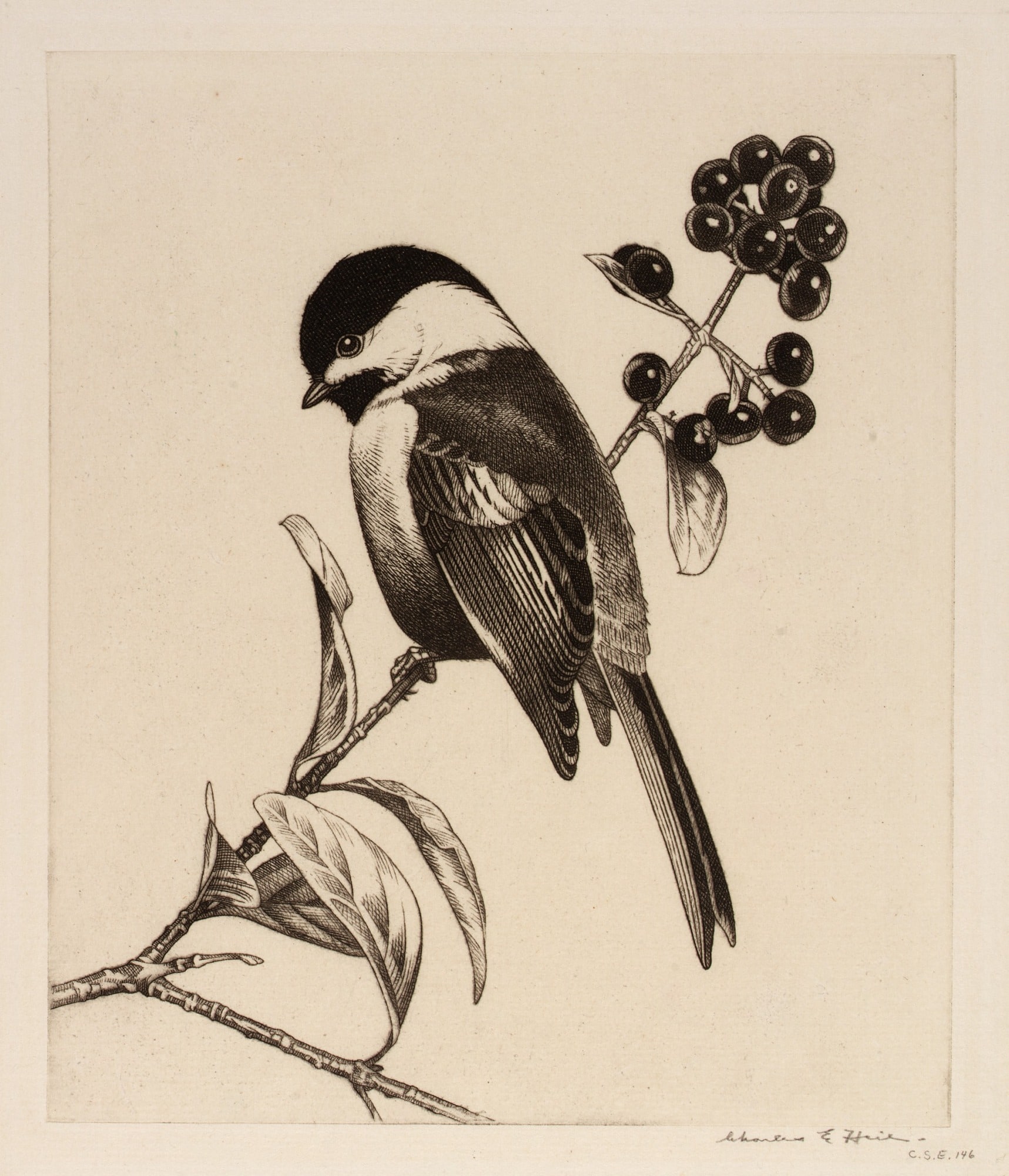 Bird and Berry