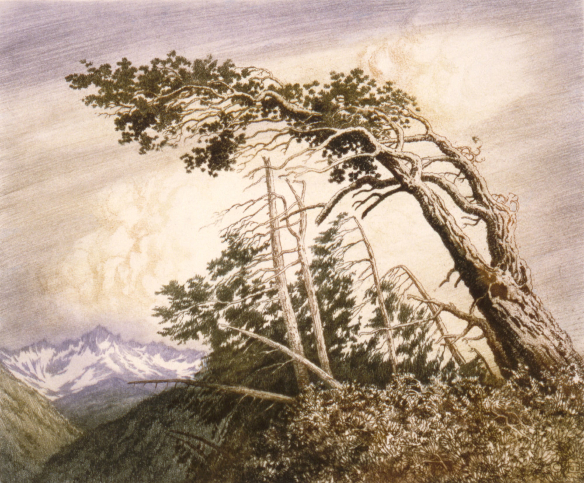 Home of the Winds [No. 2]