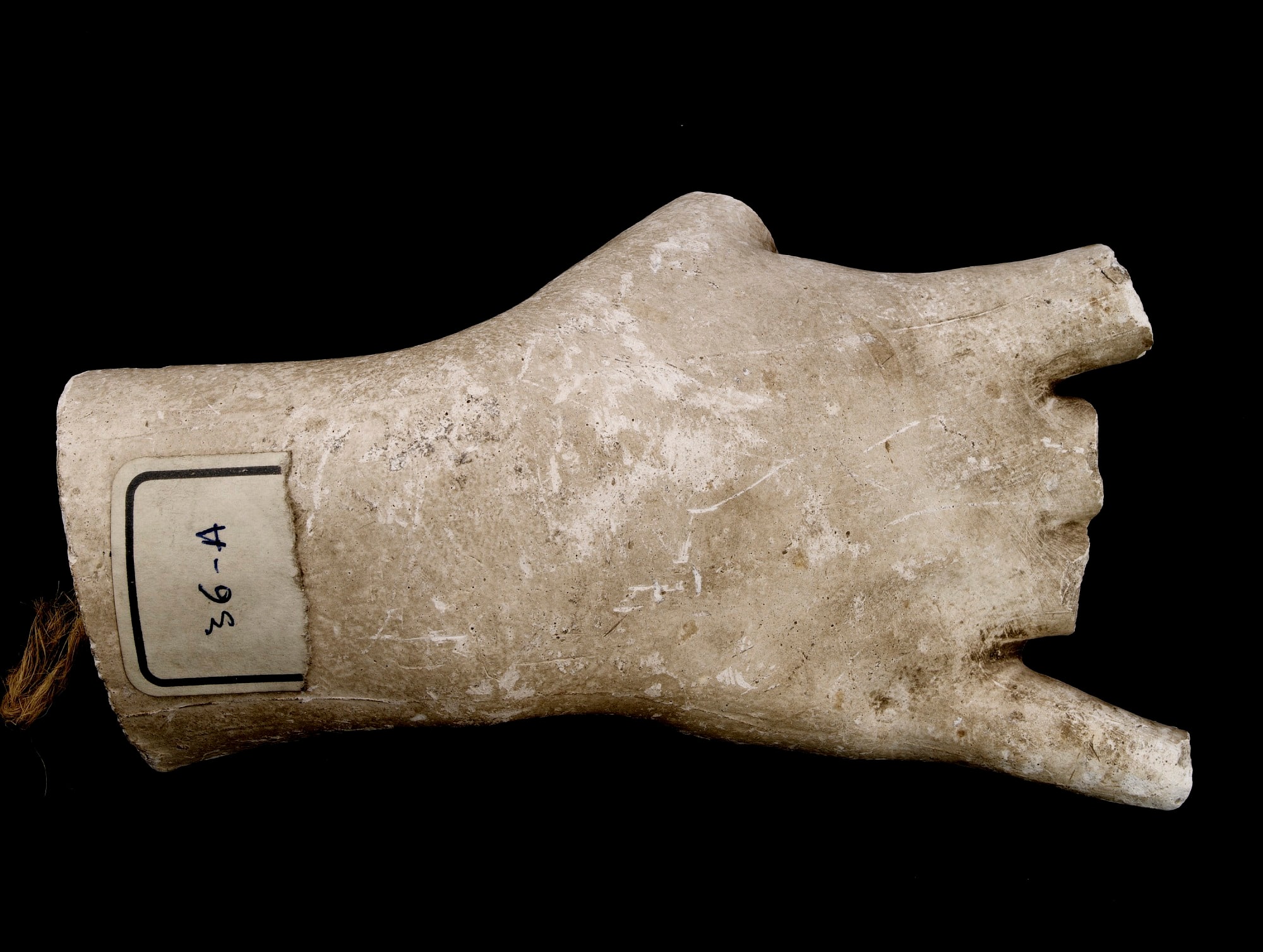 Cast of an Unidentified Right Hand, Shown Open (all fingers missing)