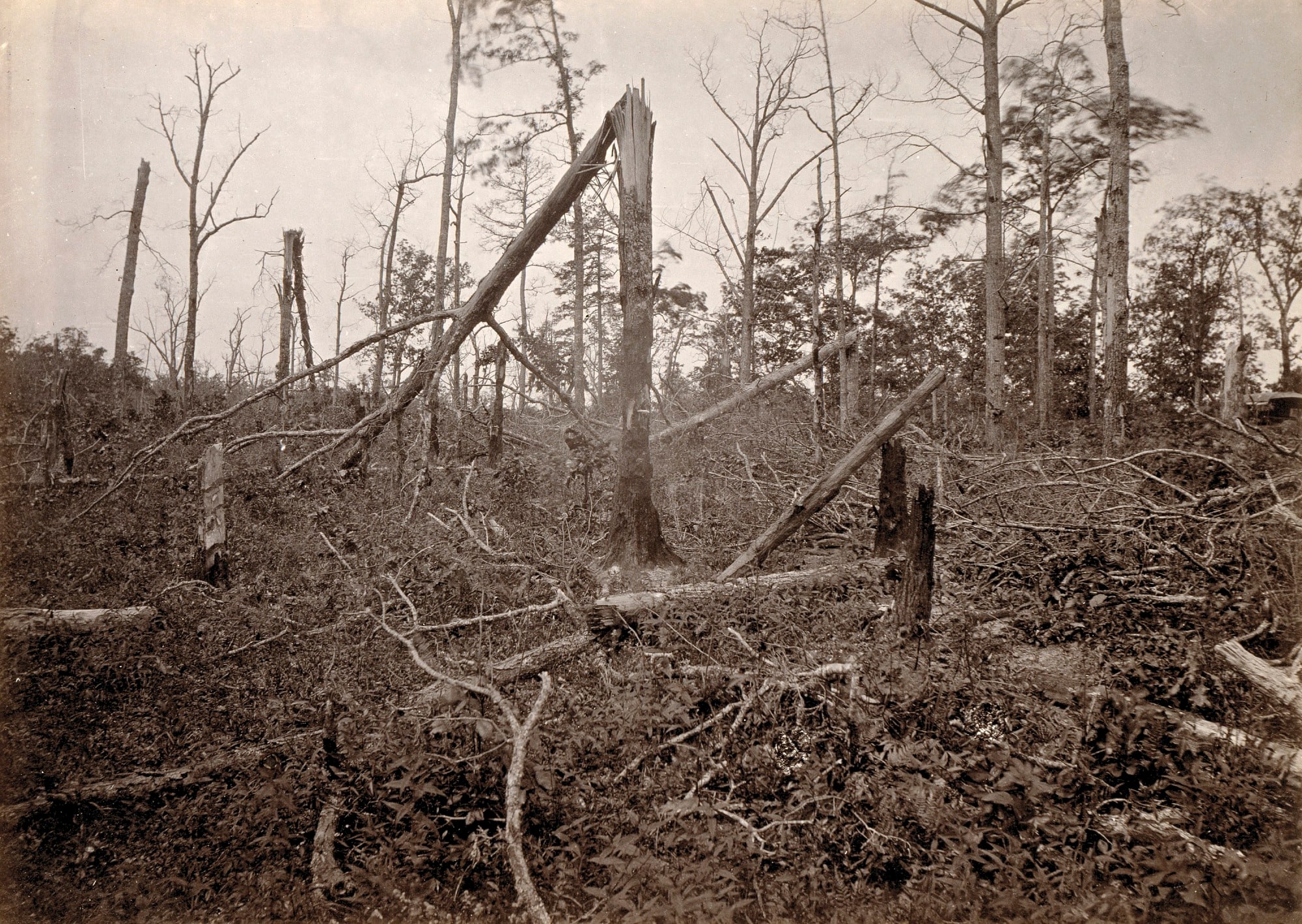 The "Hell Hole", New Hope Church, Georgia, from Photographic Views of Sherman's Campaign, plate 27
