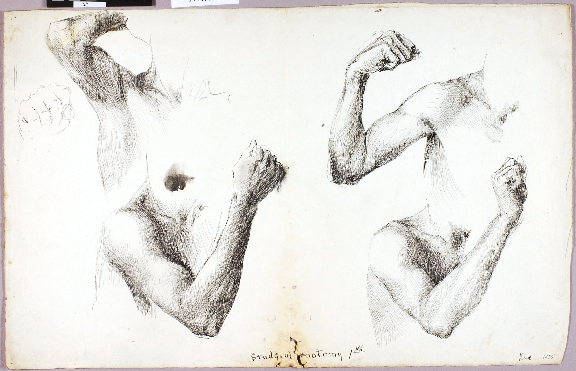 Four Arm Studies, #1