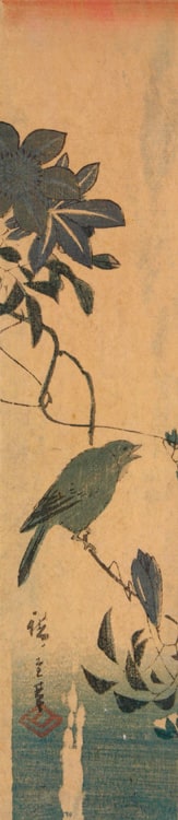 Small Bird Perched on Branch of Wisteria