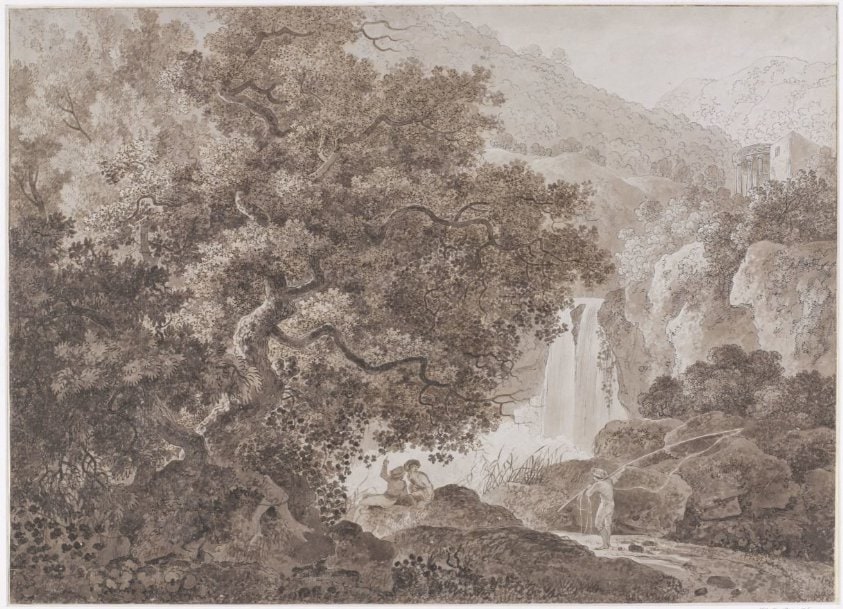 Bebost berglandschap (Tivoli)
