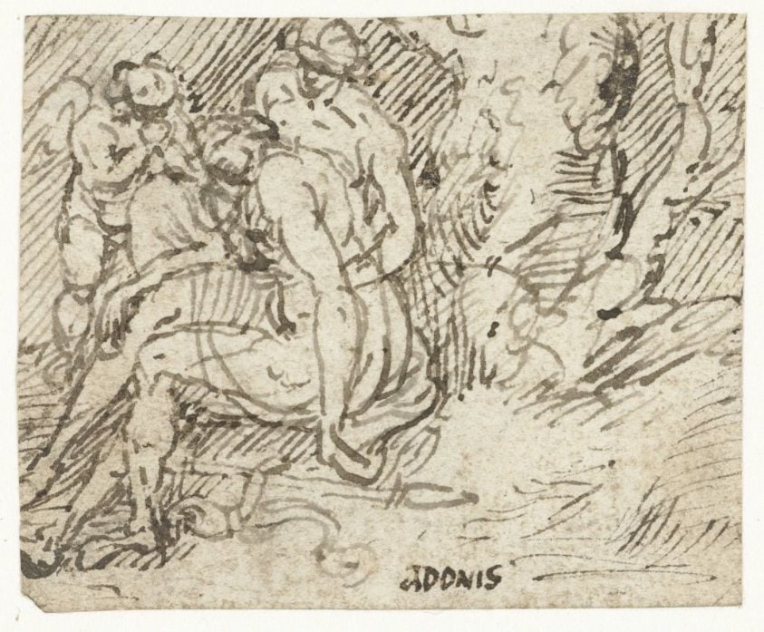 Venus, Cupido en Adonis