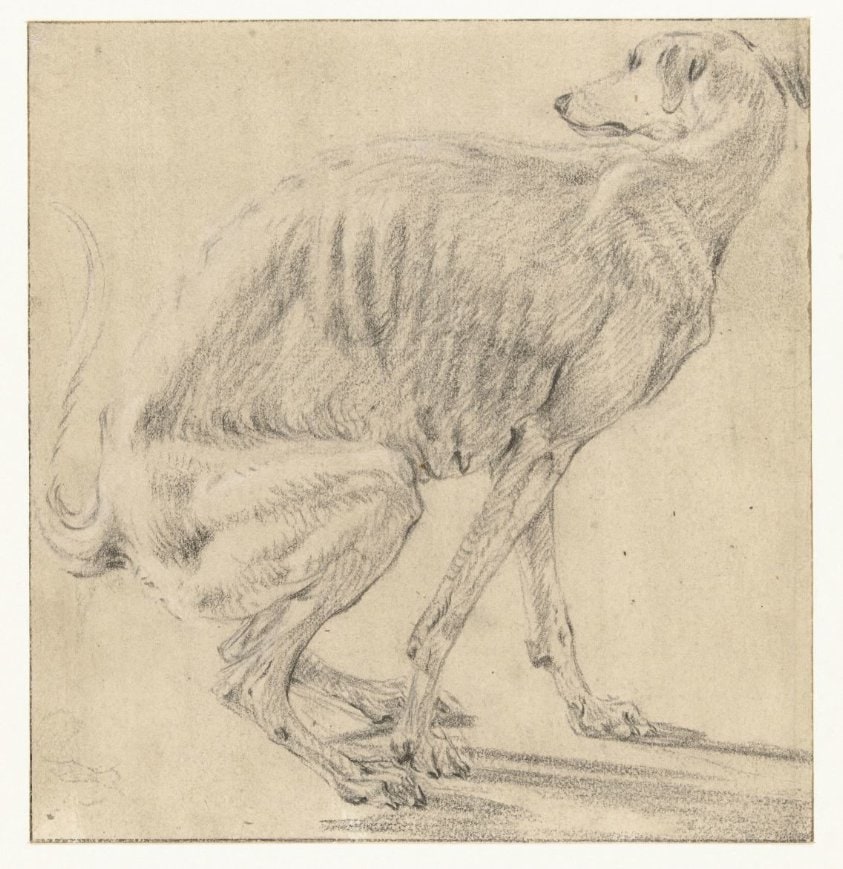 Zittende hond, zich ontlastend, van opzij gezien