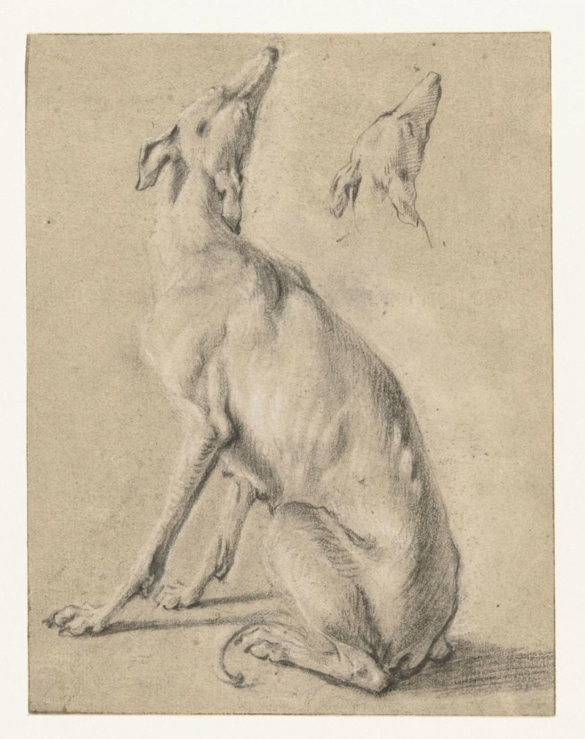 Een zittende hond en de kop van een hond