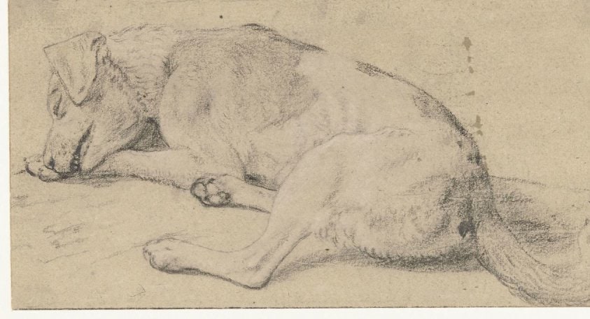 Een slapende hond