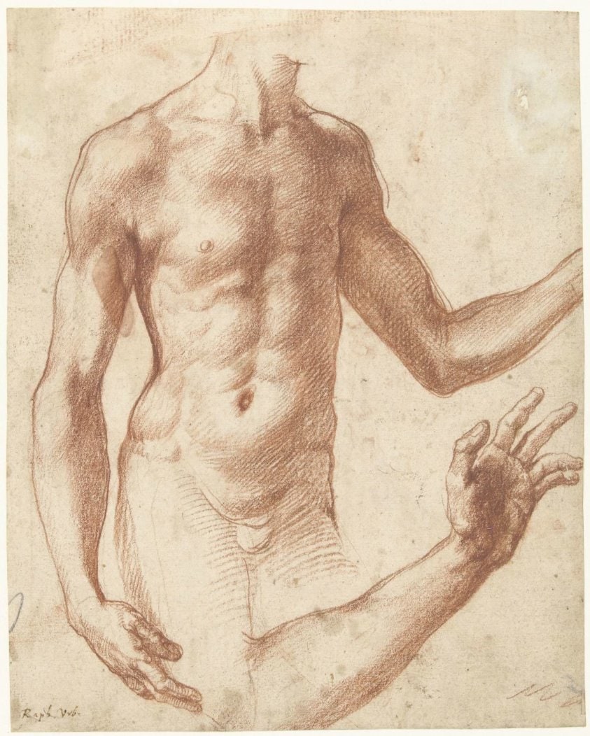 Study of a Torso