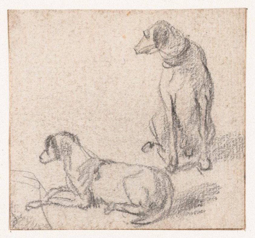 Zittende en een liggende hond