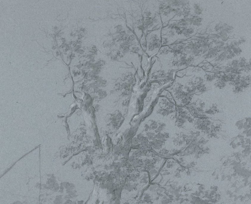 Study of a Well under Trees in a Walled Garden