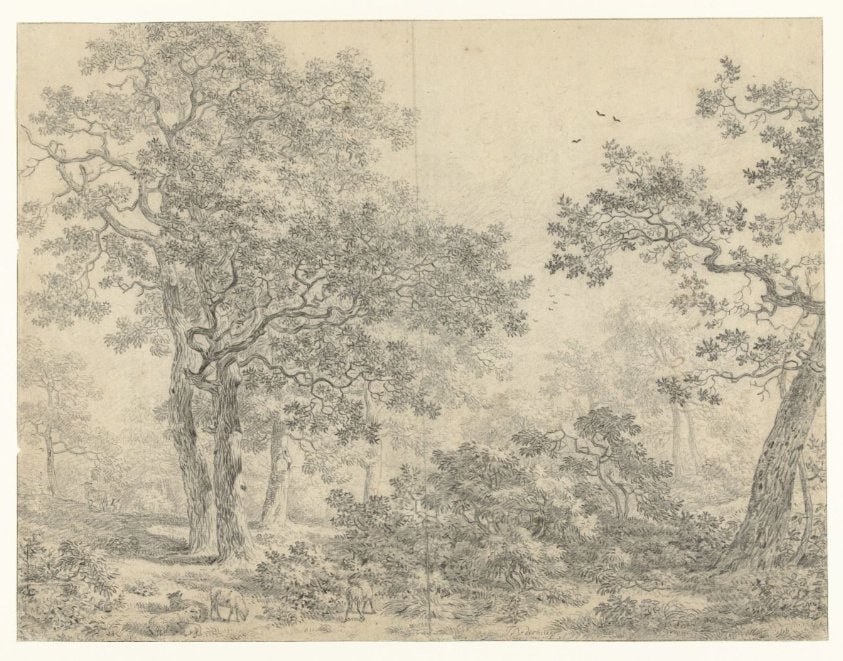 Wooded Landscape with Sheep