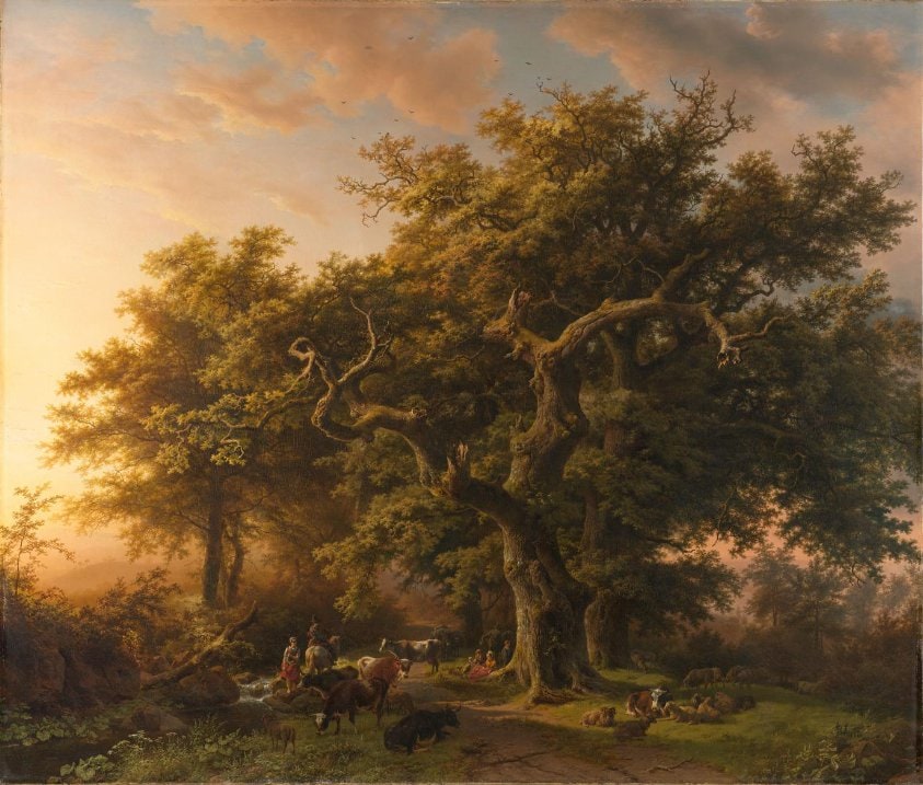 Forest Scene