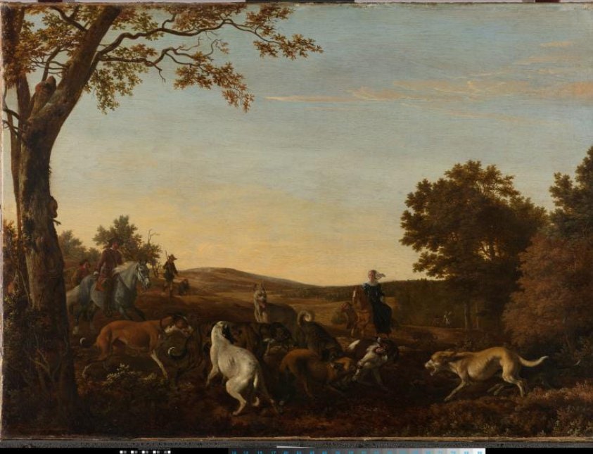 The Fox Hunt