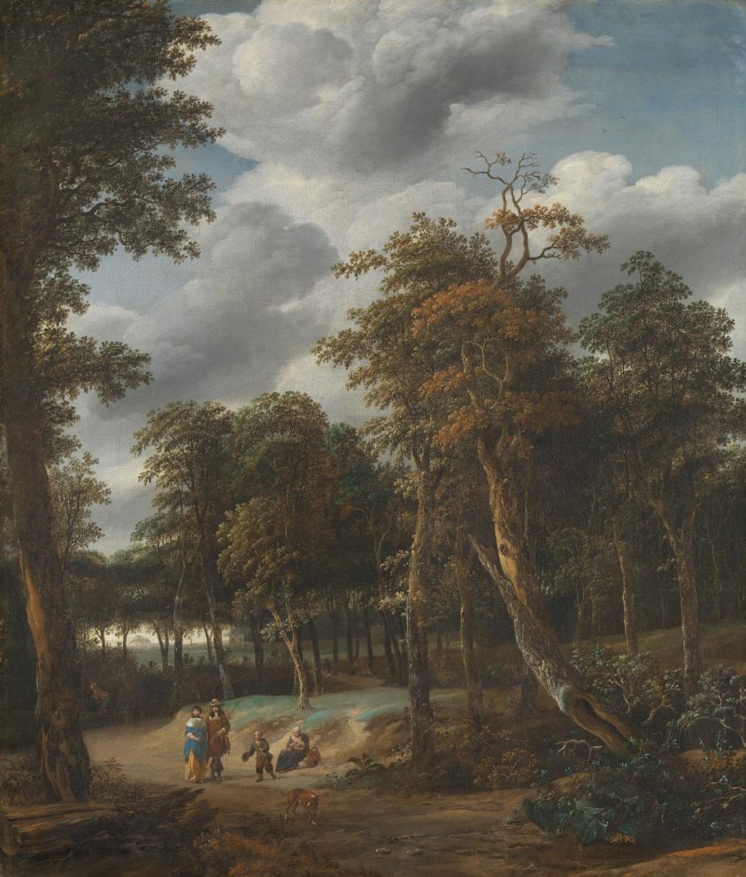 Forest Road