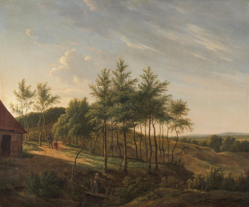 Hilly Landscape
