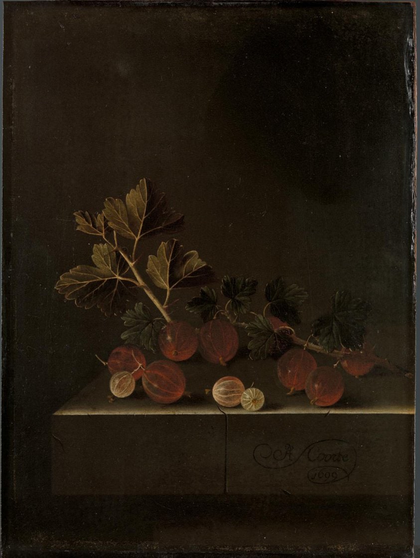 A Sprig of Gooseberries on a Stone Plinth