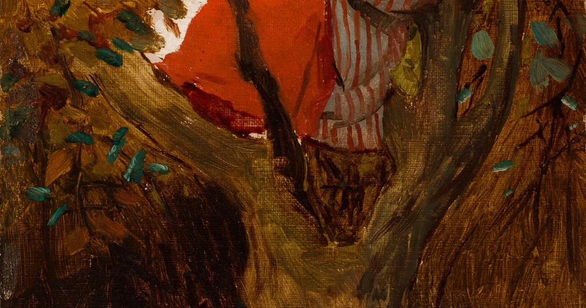 A woman seated in a tree