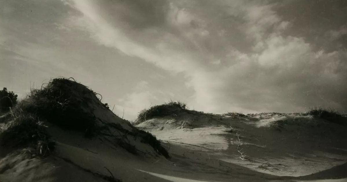 Beach landscape