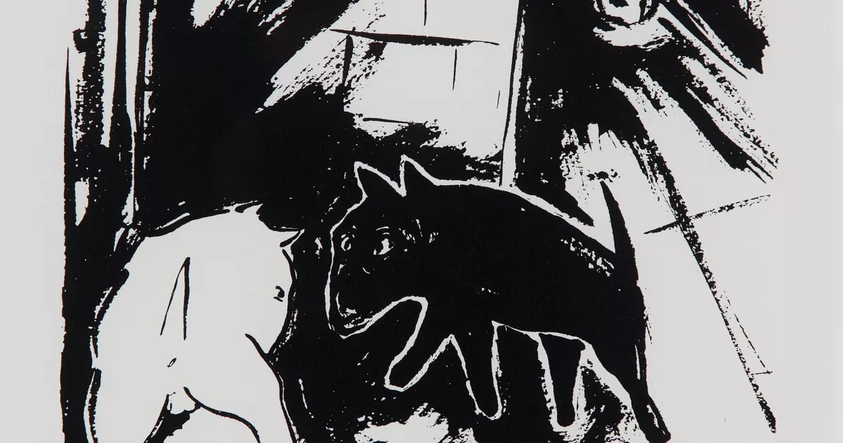 Black dog - white dog I