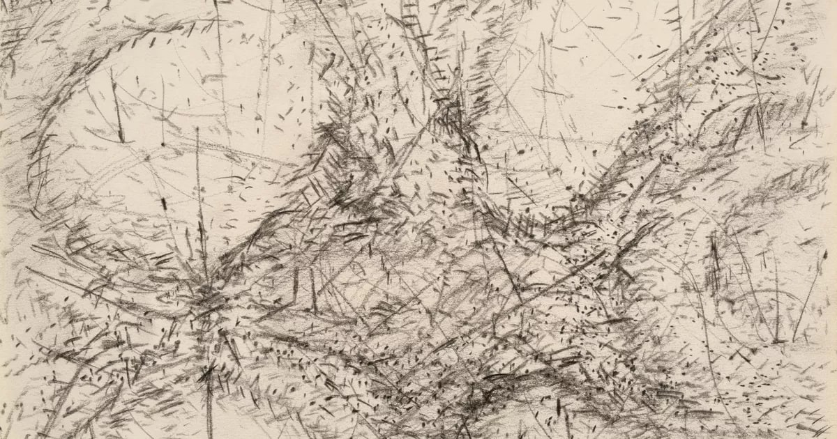 Drawing