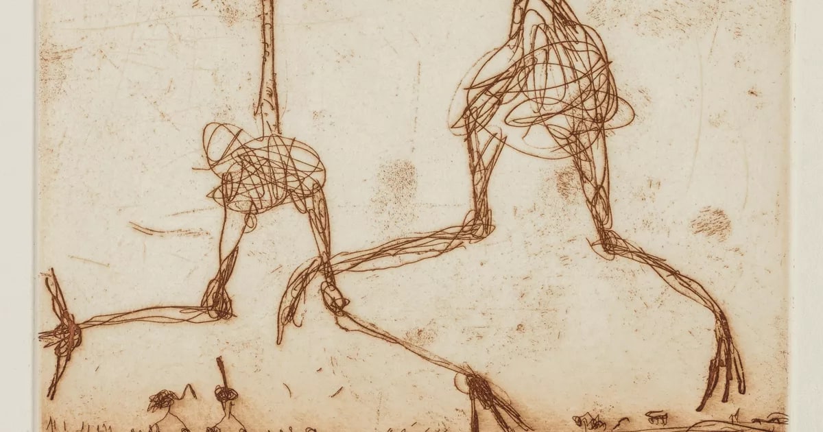 Emus passing