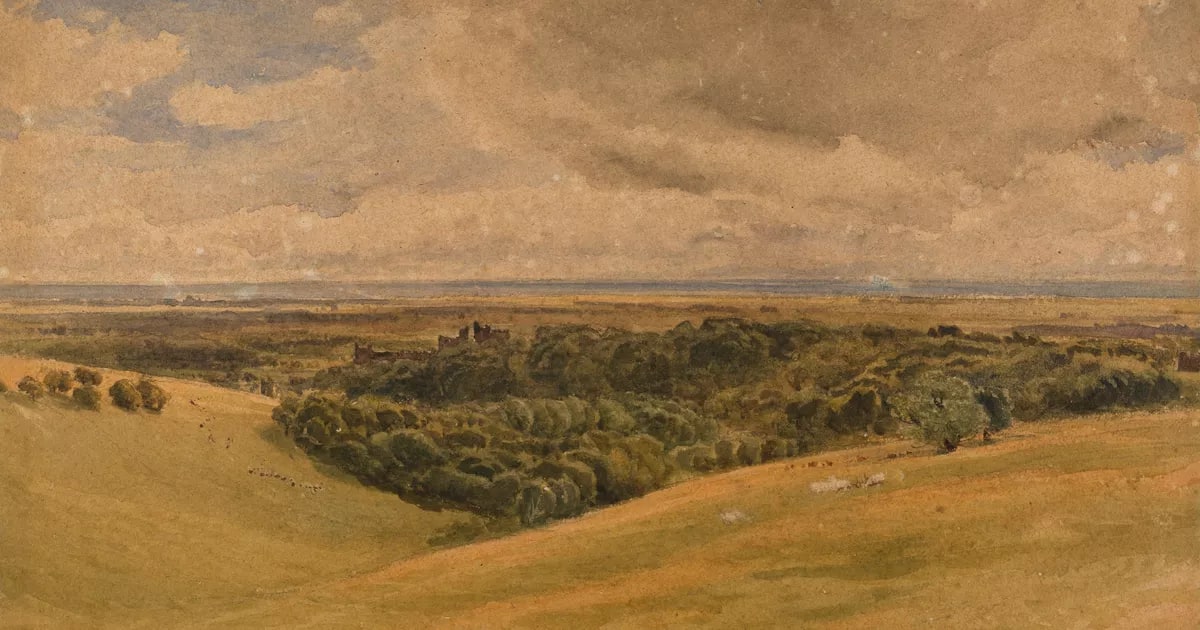 Extensive landscape