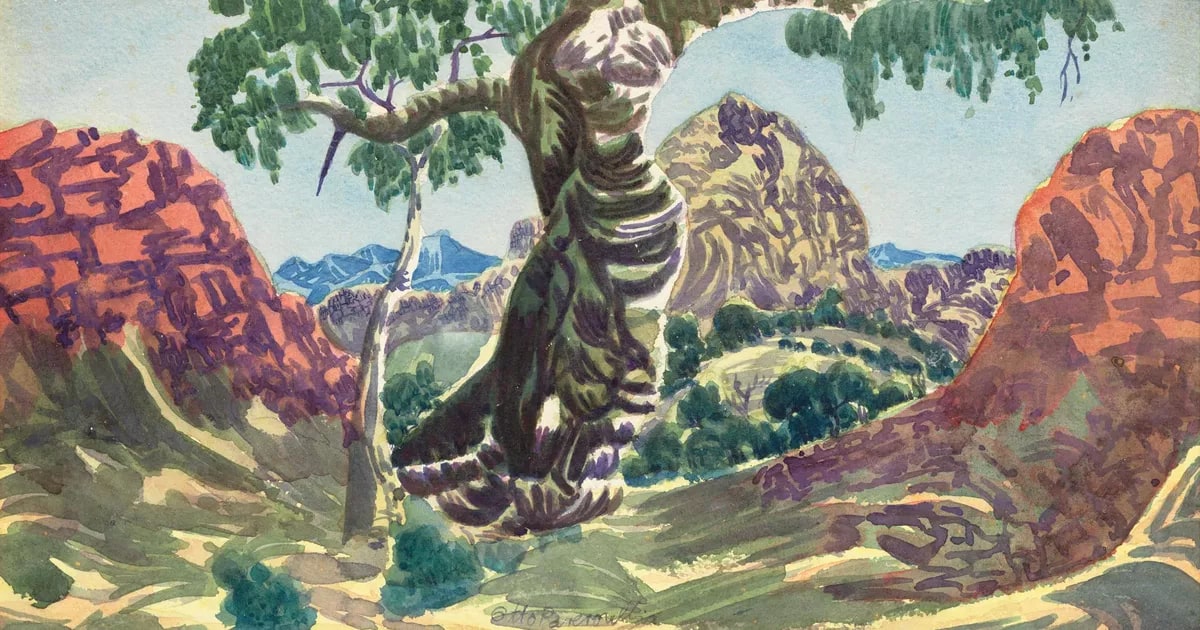 Hermannsburg (totemic tree)