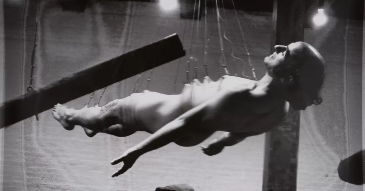 Internal/External: Suspension for Obsolete Body 80 Langdon St. Gallery, San Francisco, 31 July 1983