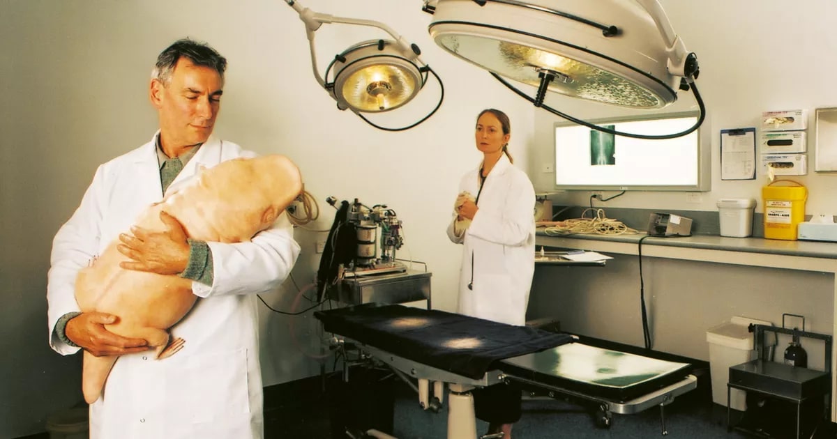 Laboratory procedures