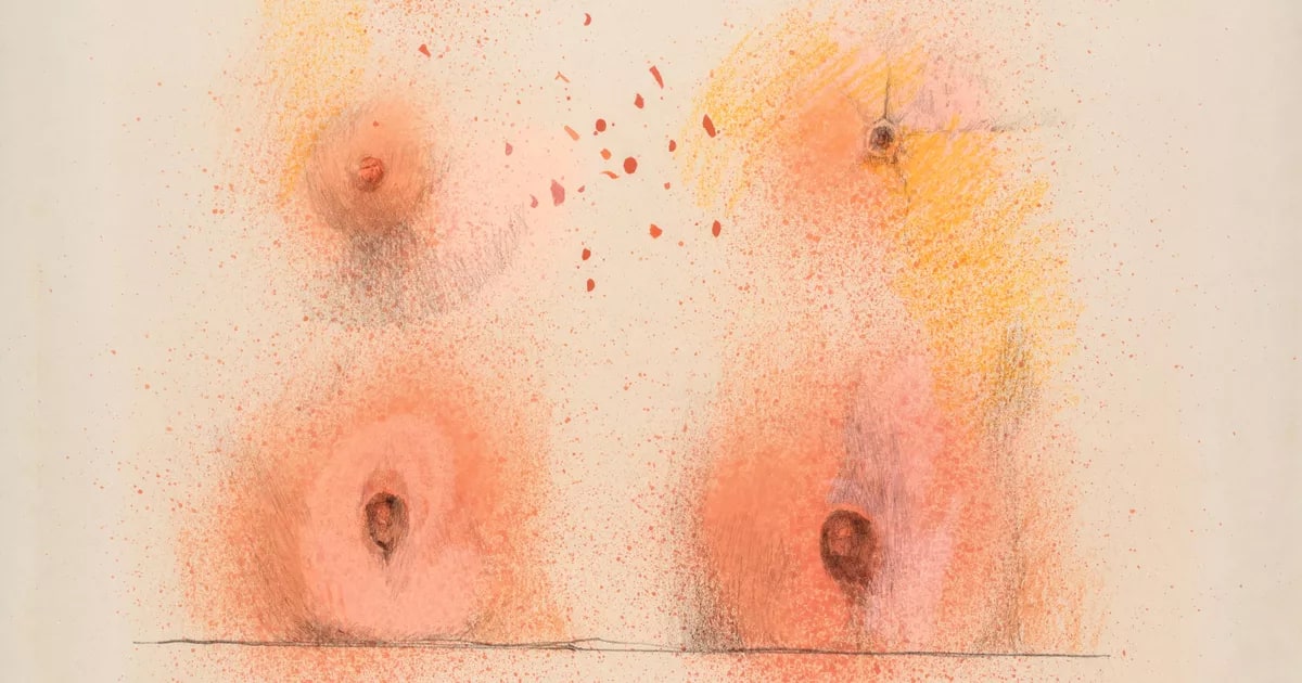 Navel II
