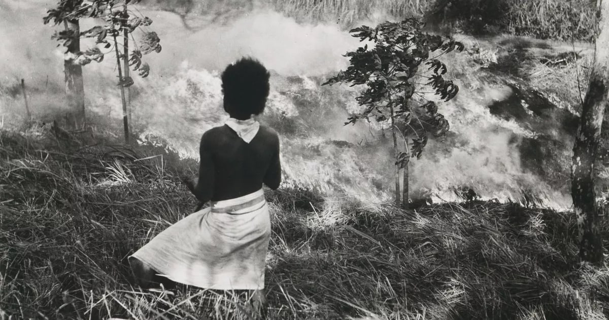 New Guinea landscape