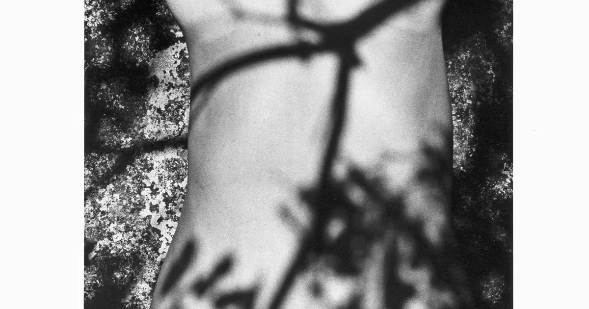 Nude and bush shadows