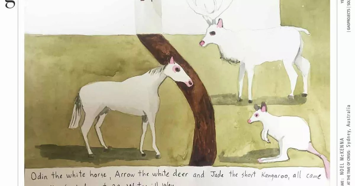Odin the white horse, Arrow the white deer and Jade the short kangaroo, all came to the front door at 29 Watermill Way