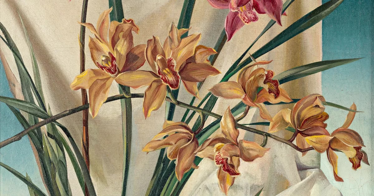Orchids