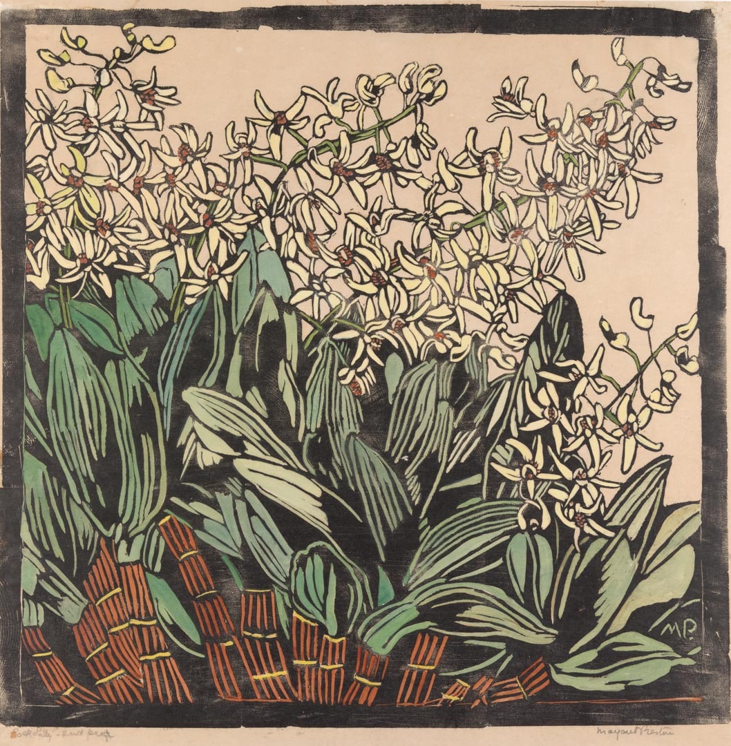 Australian rock lily c.1933