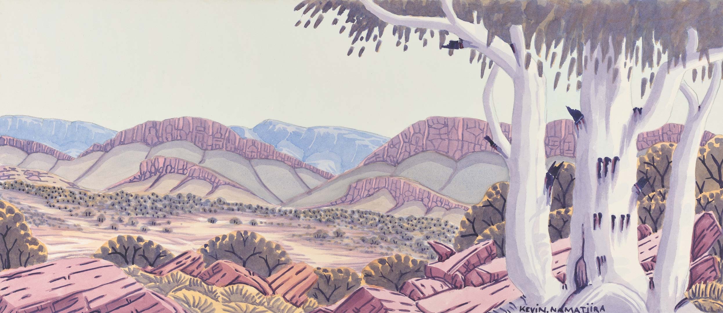 MacDonnell Ranges 2009