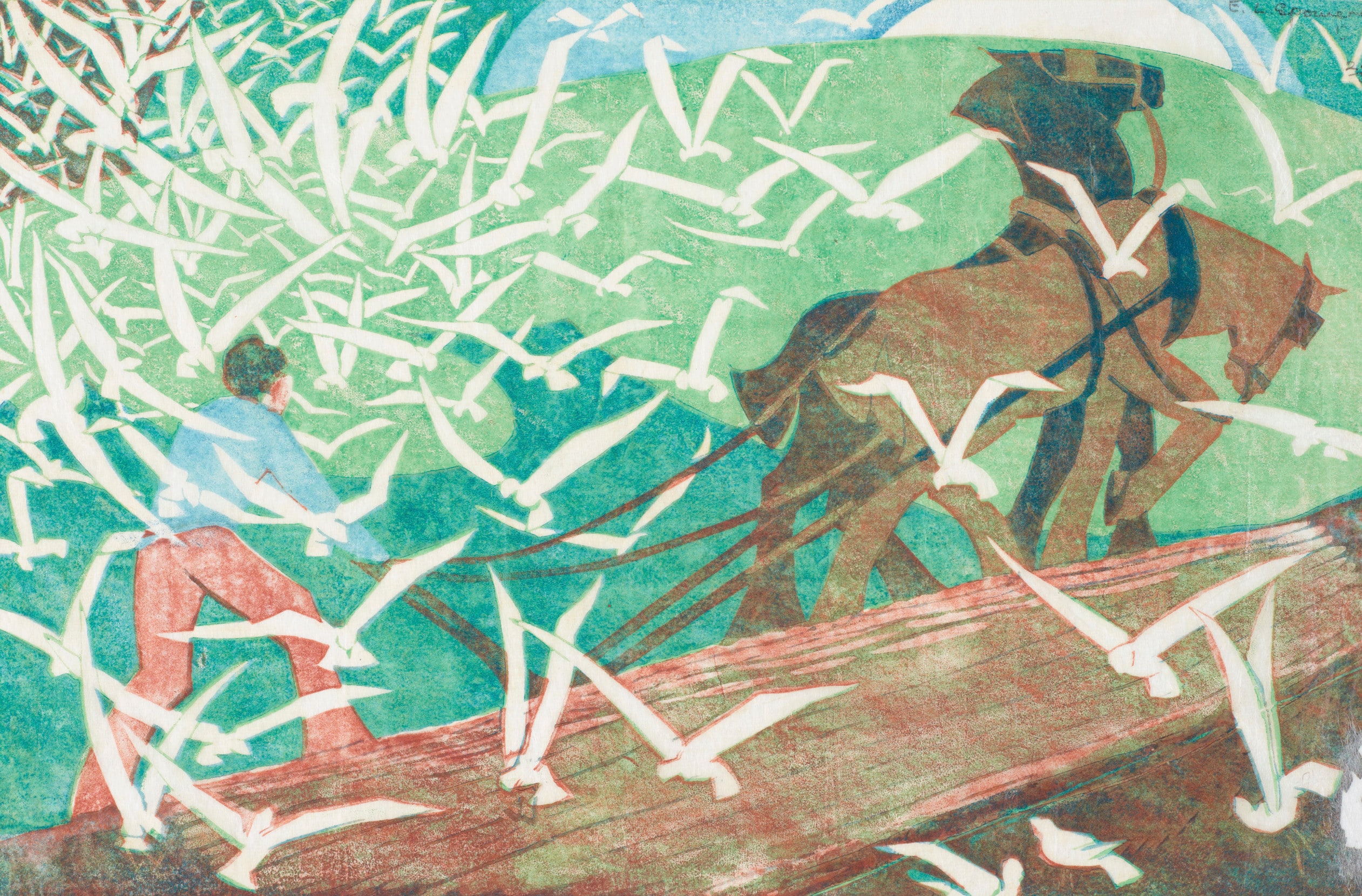 Birds following a plough