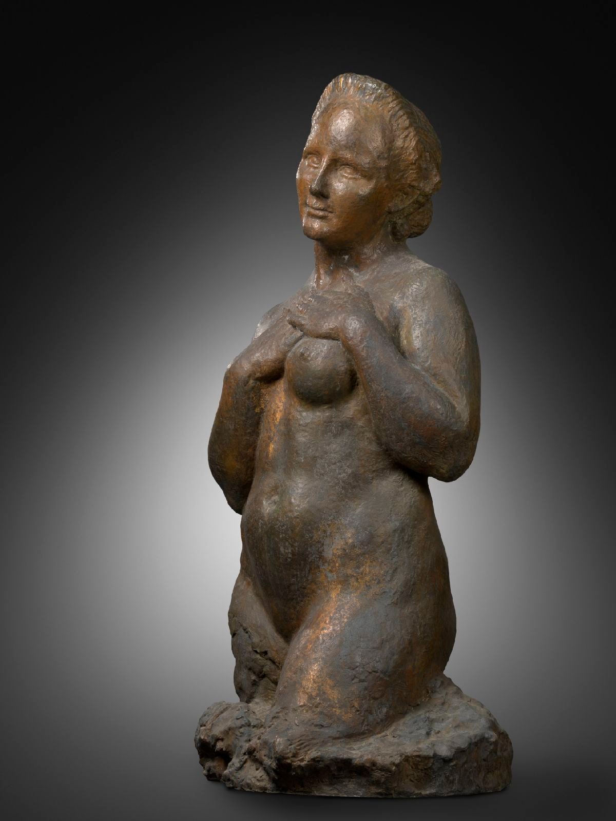Woman's Torso