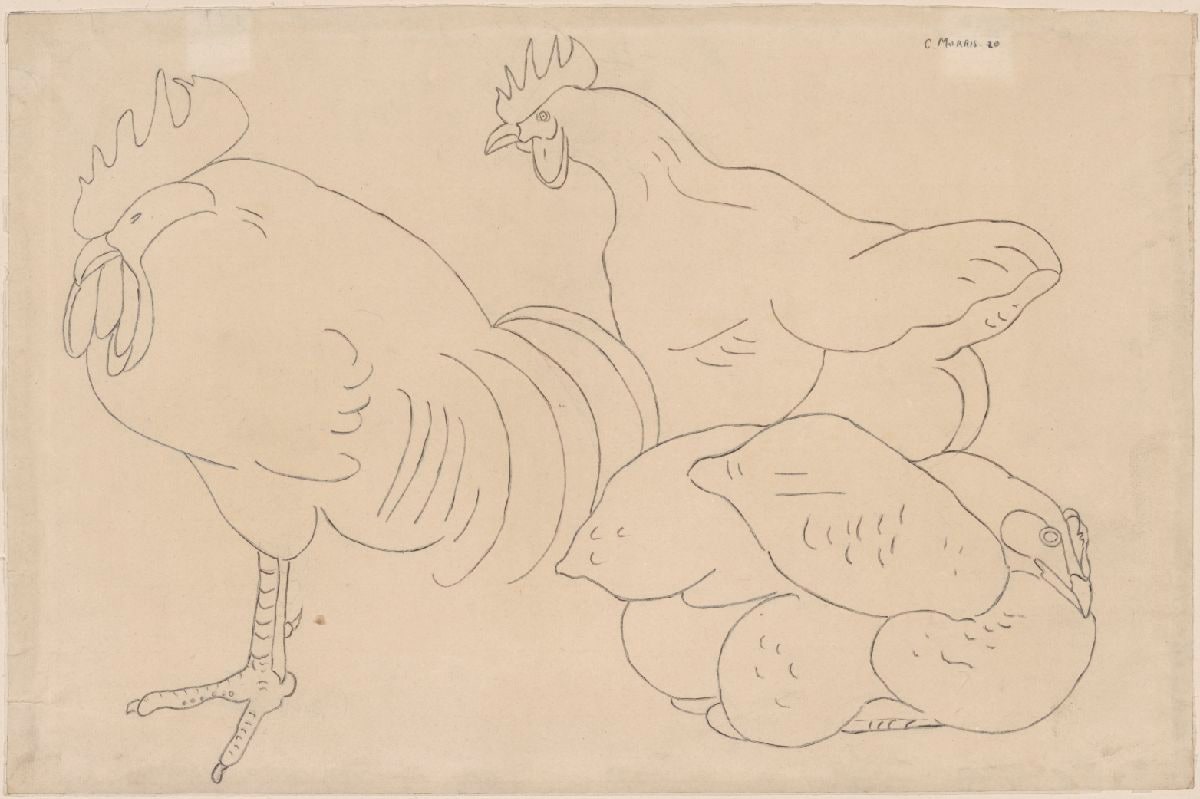 Rooster and Chicken
