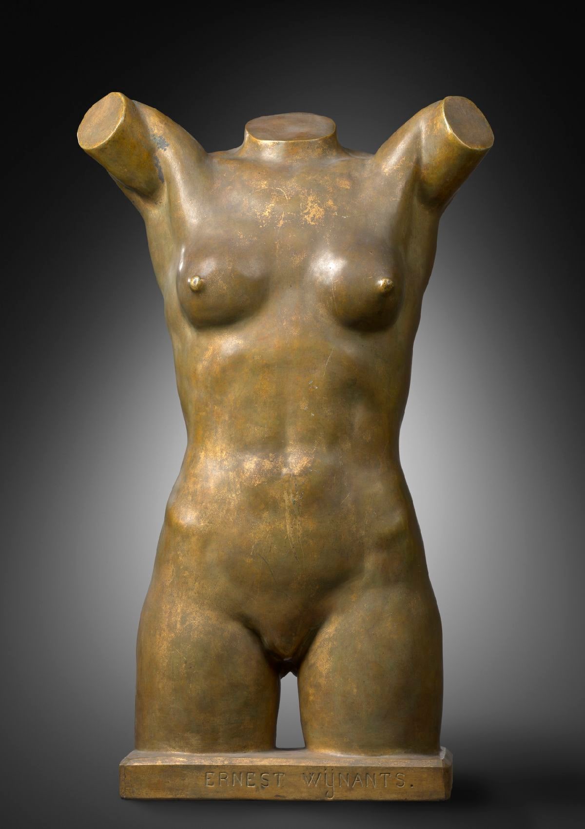 Woman's Torso