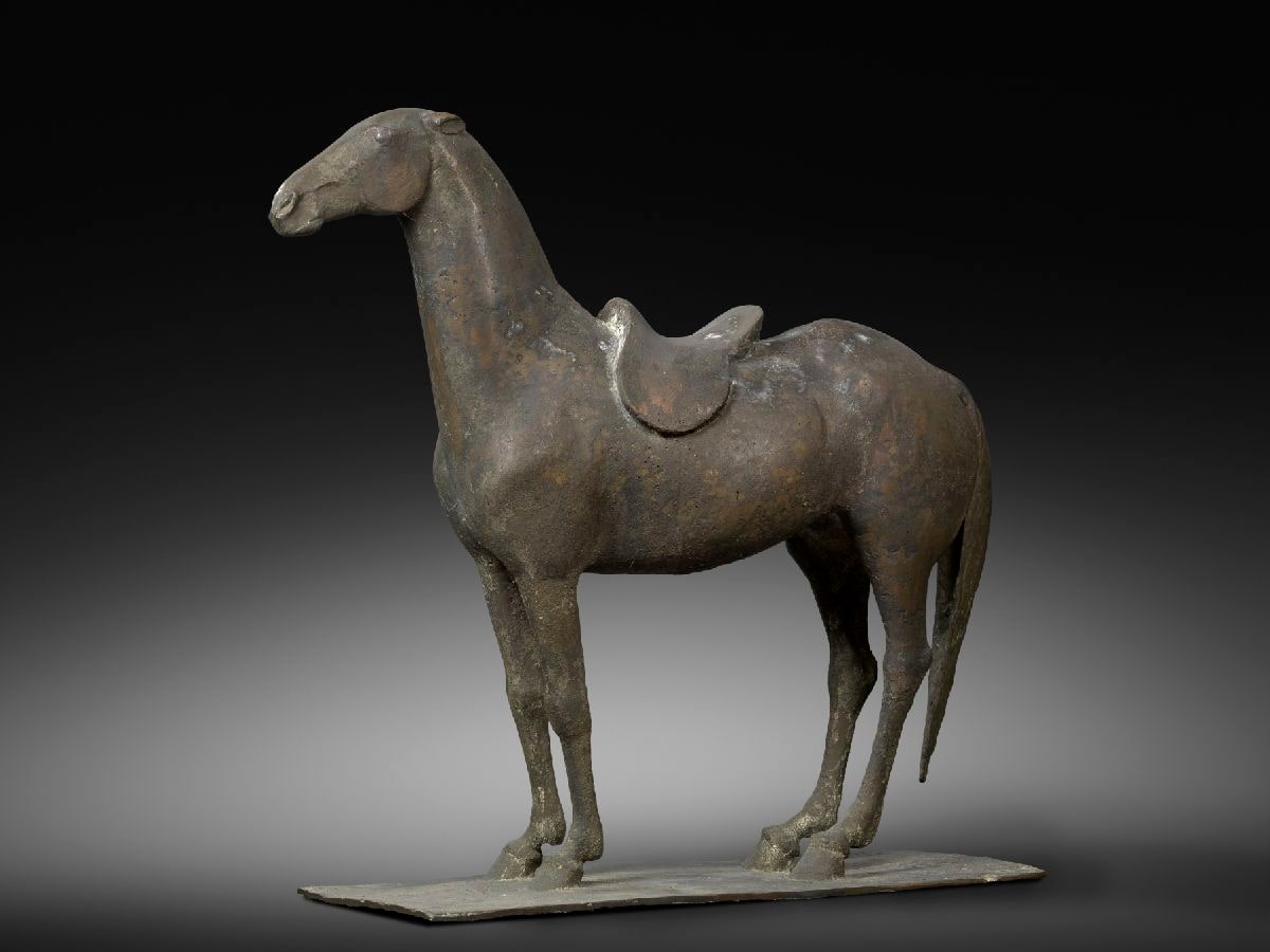 Saddled Horse