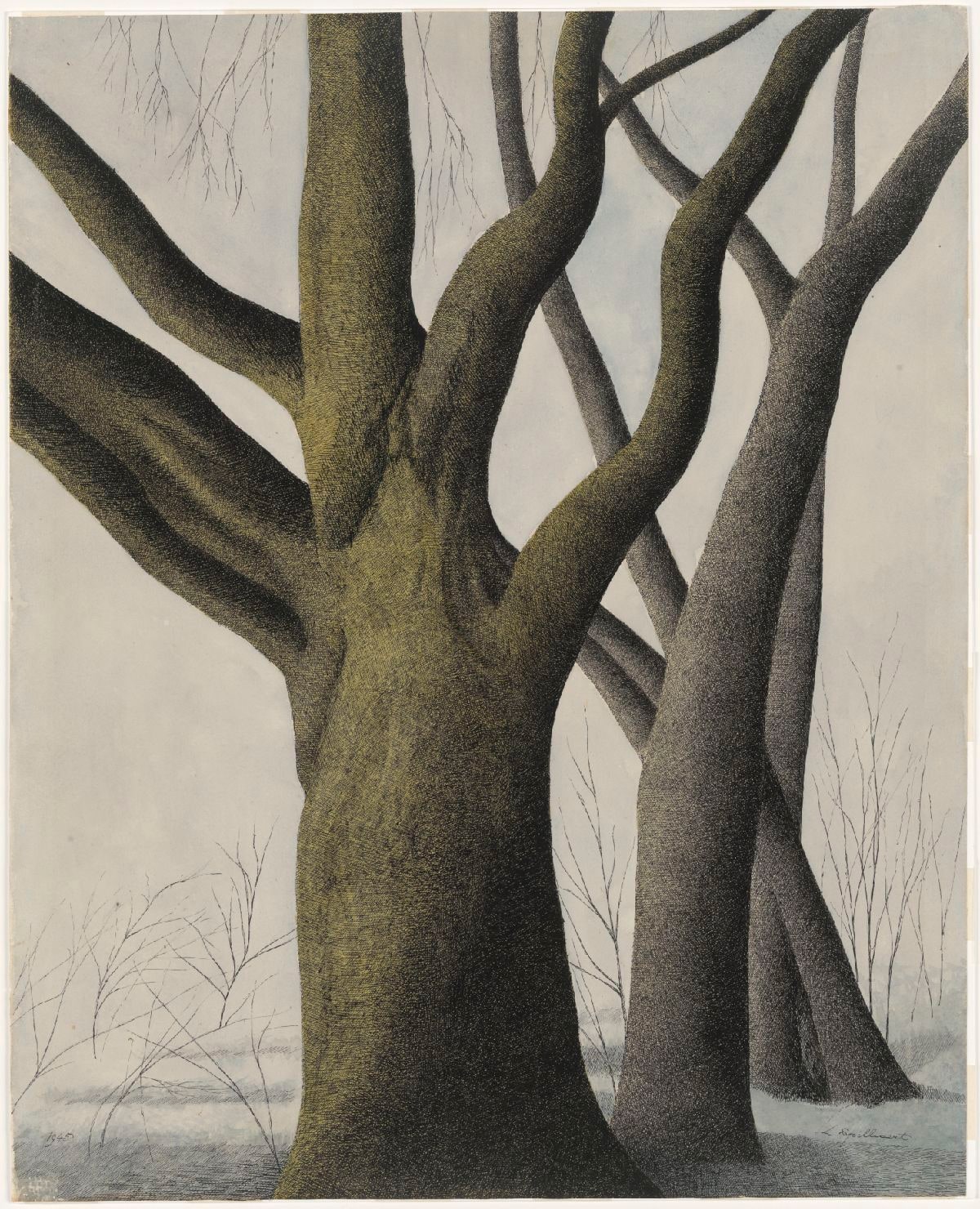 Big Tree