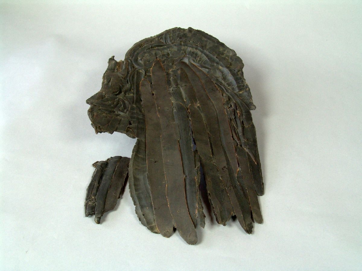 Wax Model