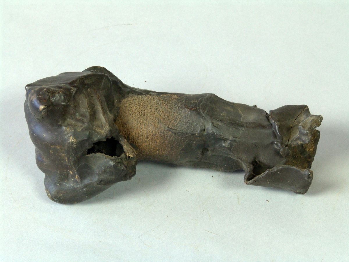 Wax Model