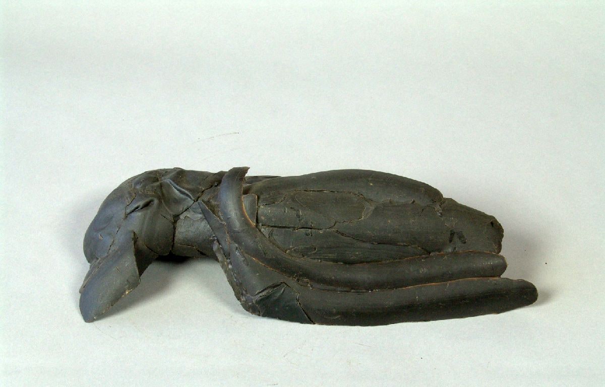 Wax Model