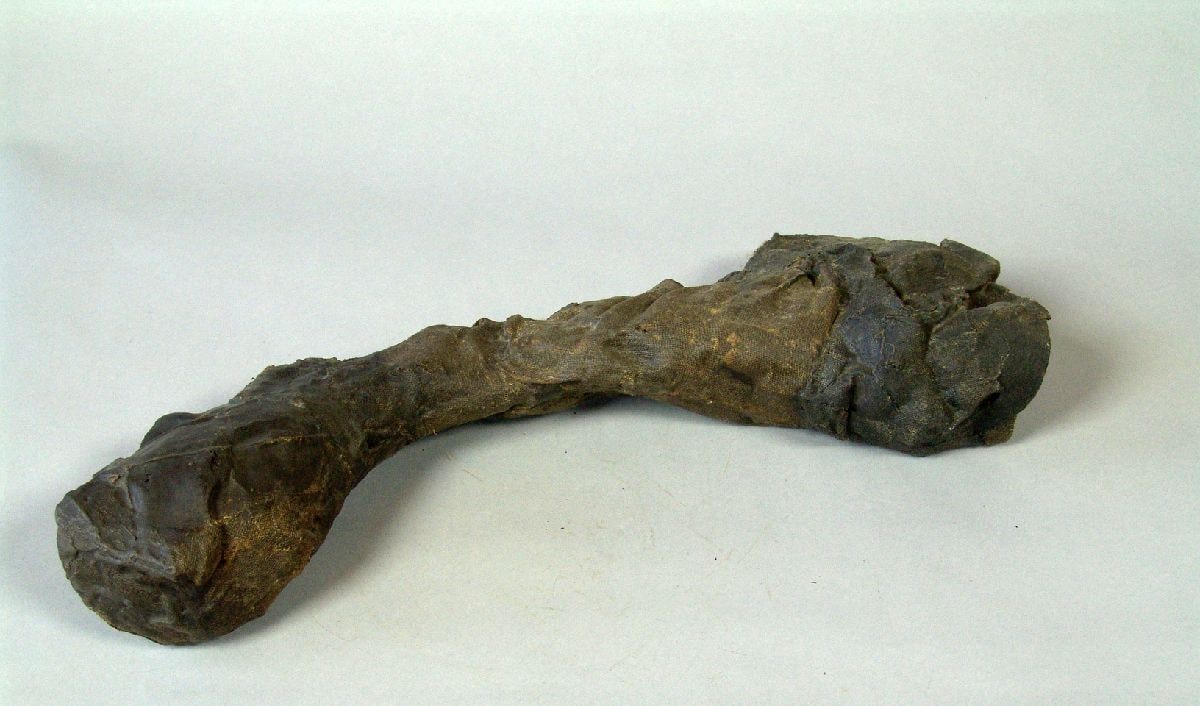 Wax Model